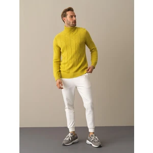 Erkek Sarı Pamuklu Regular Fit Kazak