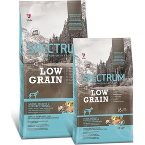 Low Grain Somon, Hamsi, Yaban Mersinli Orta-Büyük Irk Yetişkin Köpek Maması 12 kg