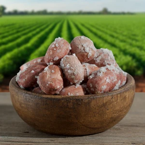 Hacı Mümtaz Tuzlu Fıstık 500 gr
