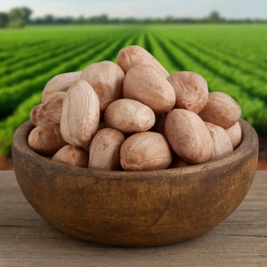 Hacı Mümtaz Çiğ Fıstık 500 gr