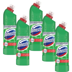 Çamaşır Suyu 750 ml Dağ Esintisi (5'li Fırsat Paketi)