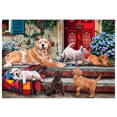 Anatolisches Puzzle – Pets Hide And Seek, 260 Teile, Für Kinder Ab 5 Jahren