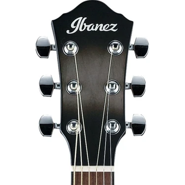 Ibanez aewc11 deals