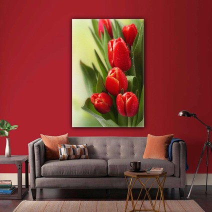 Kırmızı Lale Makro Doğa Manzara Çiçek Kanvas Tablo