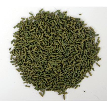 Turtle Sticks 500 ml Kutu Sürüngen ve Kaplumbağa Yemi ve Multivitamin indirimleri