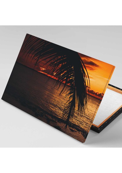 Gün Batımı Palmiye Ağaç Sahil Manzara Kanvas Tablo fiyatları
