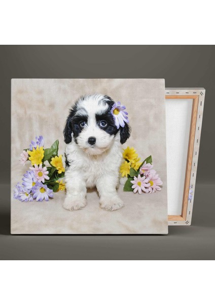 Yavru Köpek Çiçek Fotoğrafçı Yakın Çekim Masum Kanvas Tablo