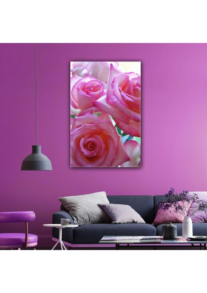 Pembe Gül Doğa Bitki Makro Yakın Çekim Kanvas Tablo