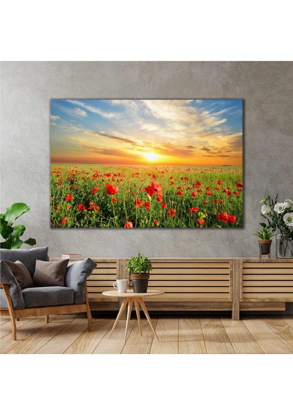 Yakın Çekim Gelincik Tarlası Doğa Manzara Kanvas Tablo