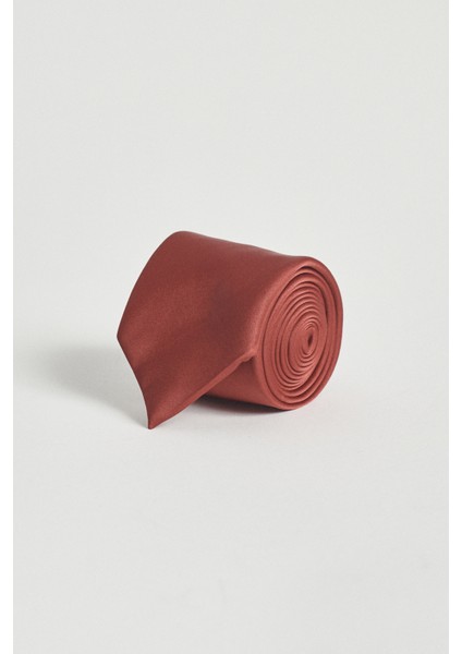 ALTINYILDIZ CLASSICS Erkek Bordo Kravat