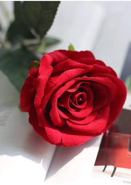 10 Adet Yapay Çiçek Kadife Gül fiyatları