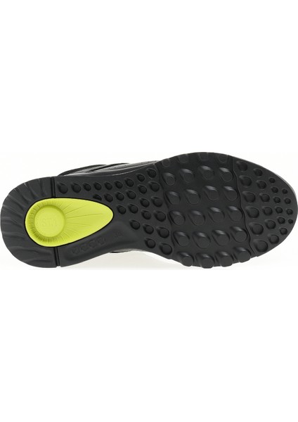 Siyah Kadın Sneaker 83531301001
