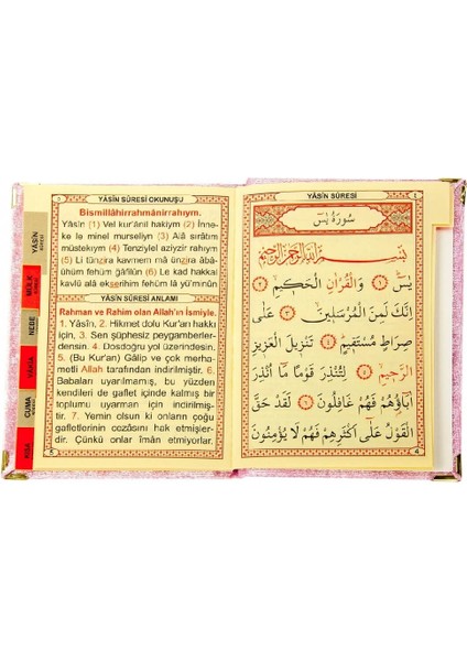 20 Adet Kadife Kaplı Yasin Kitabı - Çanta Boy - Isme Özel Plakalı - Tesbihli - Keseli - Pembe Renk (Ciltli) modelleri