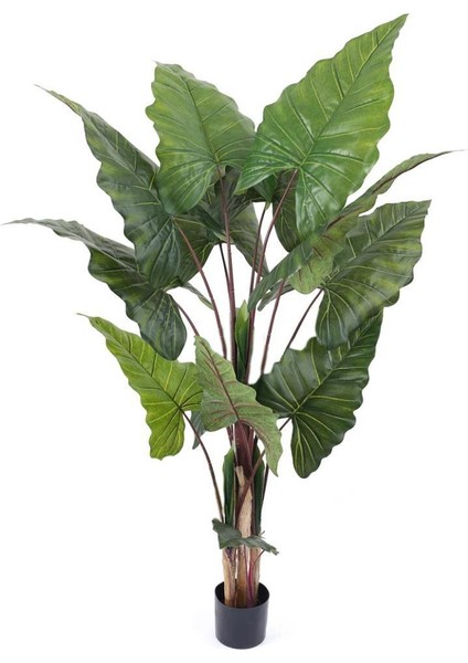 Yapay Ağaç Dev Fil Kulağı Taro Ağacı 170 cm 11 Yaprak