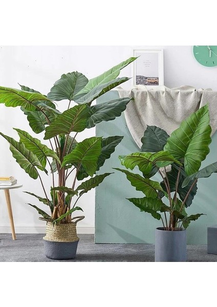 Yapay Ağaç Dev Fil Kulağı Taro Ağacı 170 cm 11 Yaprak