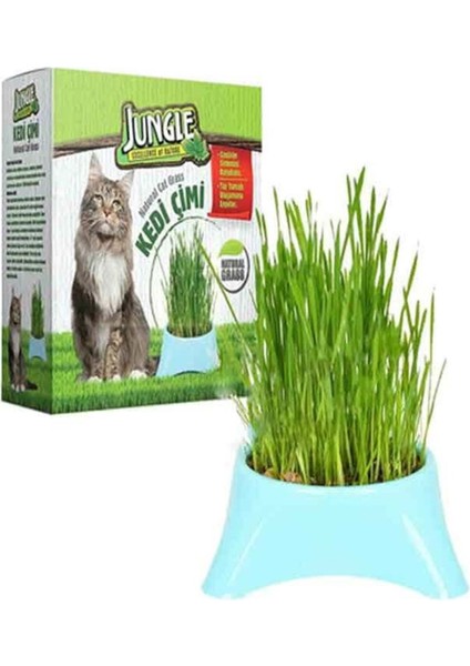 Doğal Kedi Çimi Kutulu Fileli