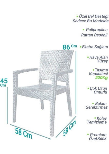 Rattan Sandalye Kollu Koltuk Bahçe Balkon ve Teras Sandalyesi 4 Adet Antrasit