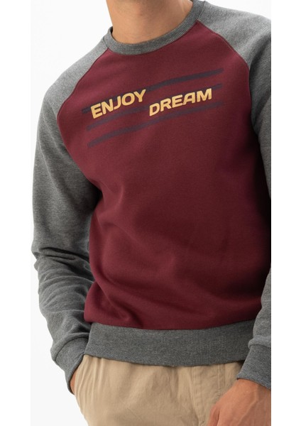 Erkek Bisiklet Yaka Sweatshirt K24124908701 fiyatları