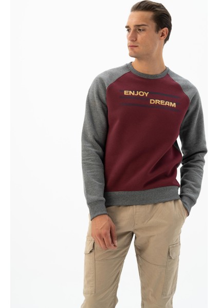 Erkek Bisiklet Yaka Sweatshirt K24124908701 modelleri