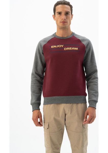 Erkek Bisiklet Yaka Sweatshirt K24124908701 indirimleri