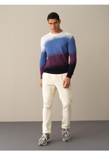 Erkek Lacivert Bisiklet Yaka Regular Fit Kazak