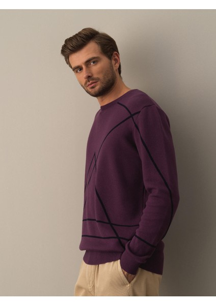 Erkek Mor Regular Fit Desenli Kazak modelleri