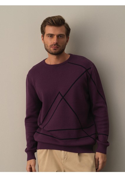 Erkek Mor Regular Fit Desenli Kazak fırsatları