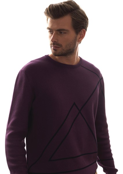 Erkek Mor Regular Fit Desenli Kazak indirimleri