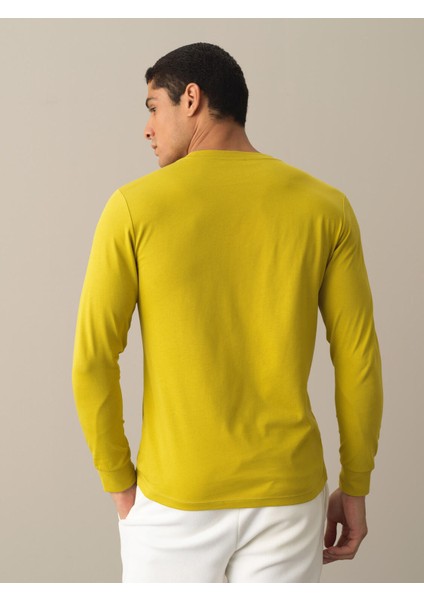 Erkek Sarı %100 Pamuk Regular Fit Tişört fırsatları