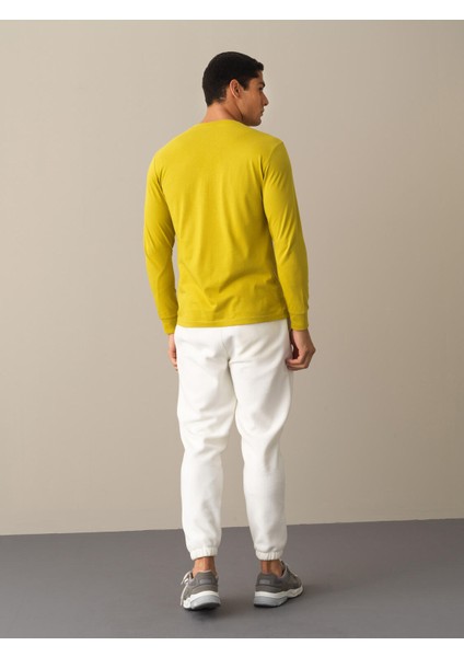 Erkek Sarı %100 Pamuk Regular Fit Tişört indirimleri