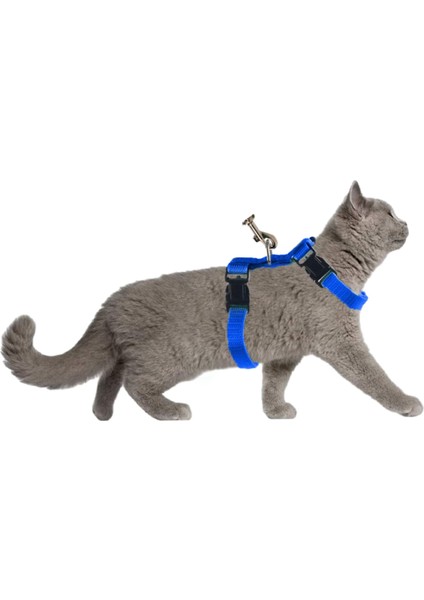 Kedi Köpek Tasması Ayarlanabilir Bedenli Kaçış Önleyici Tasarım Sevk Kayışlı Model