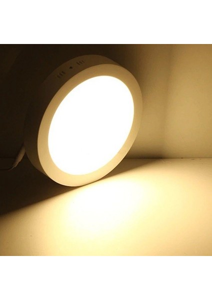 30 Watt Beyaz Kasa Gün Işığı Sıva Üstü Yuvarlak LED Panel CT 5273