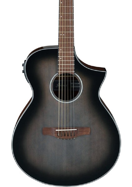 AEWC11-TCB / Elektro Akustik Gitar modelleri