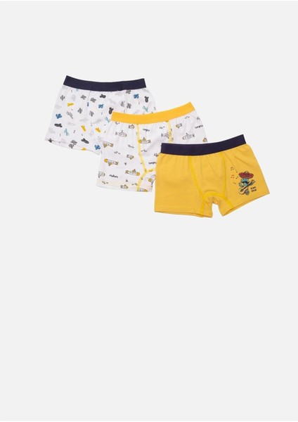 Kaktüs ve Deniz Altı Baskılı Penye Elastan Erkek Çocuk 3'lü Boxer Set