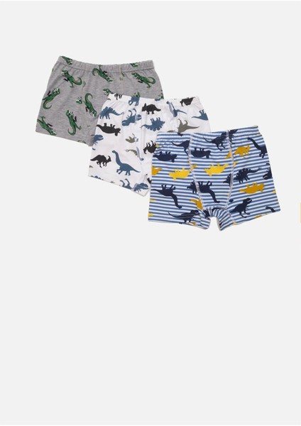 Dinozor Desen Baskılı Penye Elastan 3'lü Set Erkek Çocuk Boxer
