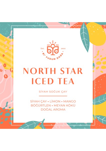 North Star 2'li Iced Tea - Siyah Soğuk Çay