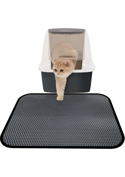Kedi Kumu Paspas