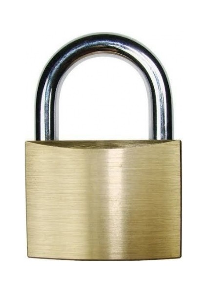 Tayvin Asma Kilit 63 mm Sarı Kapı Pencere Kilidi
