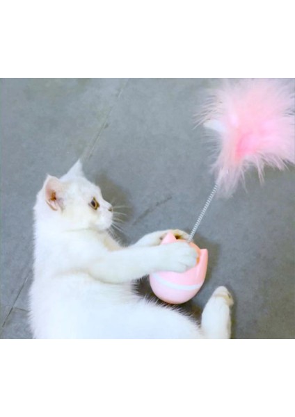 Kedi Oyuncak Tumbler Tüy Interaktif Evcil Hayvan Komik Kedi Sopa Kaçak Top Oyuncak Kedi Oyuncak (Yurt Dışından) fiyatları