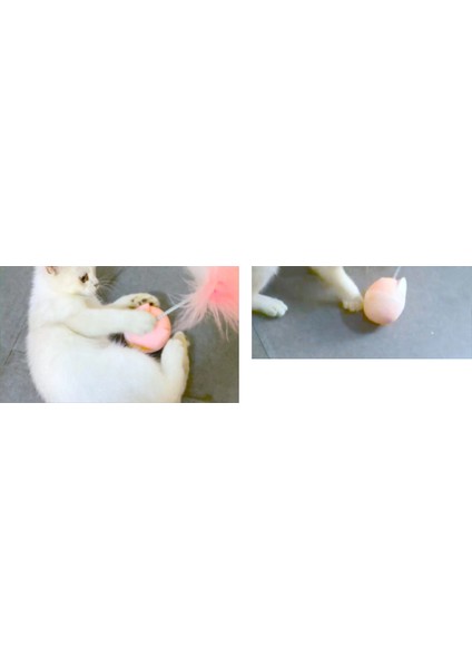 Kedi Oyuncak Tumbler Tüy Interaktif Evcil Hayvan Komik Kedi Sopa Kaçak Top Oyuncak Kedi Oyuncak (Yurt Dışından) modelleri