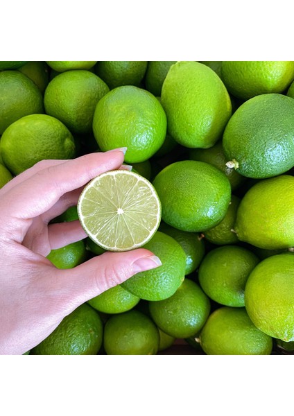 Lime (Brezilya) -4.5 kg