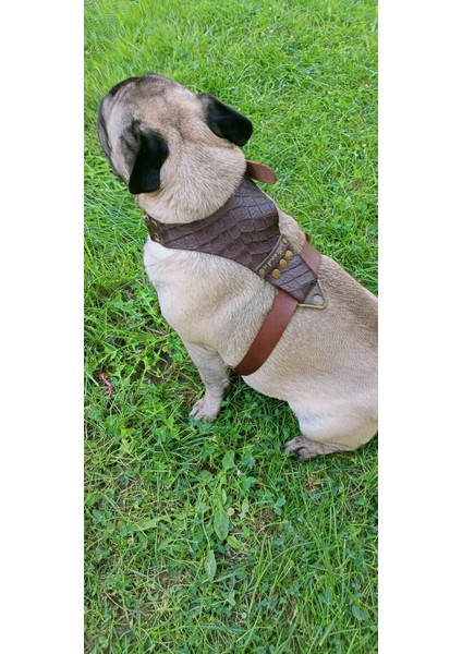 Köpek göğüs tasması hakiki deri küçük ırk kahverengi göğüs ölçüsü.:40-70 cm ayarlamalı boyun ölçüs:22-40cm dog harness GT1-10
