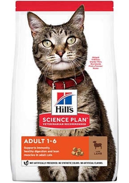 Adult Kuzu Etli Yetişkin Kedi Maması 3 kg