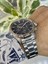 SW.PWG982.560 Dual Time Erkek Kol Saati 3