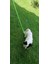 Köpek gezdirme kayışı boyun tasmalı halat yeşil deri kapamalı zımbalı kalınlık:8mm uzunluk:120cm tasma: ayarlamalı dog leash TB2-8 3