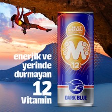 Dark Blue Multivitamin Enerji İçeceği, 250 ml (12'li Paket, 12 adet x 250 ml)