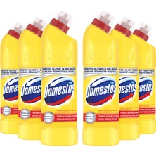 Domestos Çamaşır Suyu Yoğun Kıvamlı Formül Limon Ferahlığı Uzun Süreli Hijyen 750 ml x 6