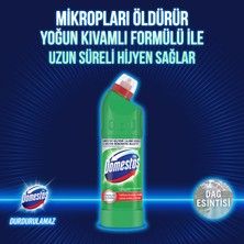 Domestos Yoğun Kıvamlı Çamaşır Suyu Maksimum Hijyen Dağ Esintisi 750 mlX3