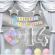 Bal10 Dünyası Gümüş Renk Yıldız Folyo Balon Seti 14 Yaş