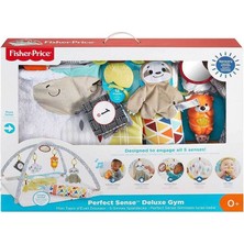 Fisher-Price Fisher Price Delüks Jimnastik Merkezi